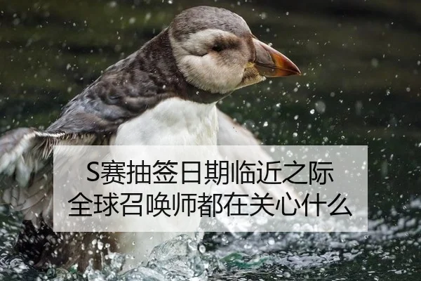 S赛抽签日期临近之际 全球召唤师都在关心什么